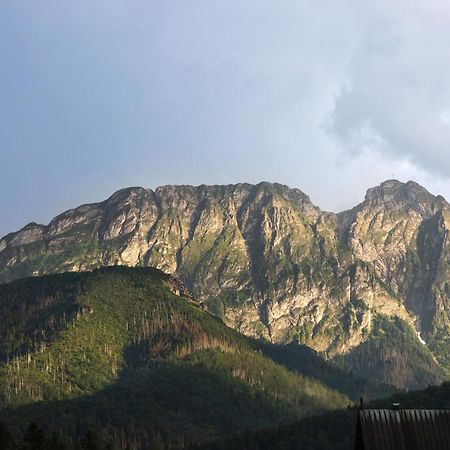 Apartment Wojciecha Brzegi Zakopane By Noclegi Renters Exterior foto